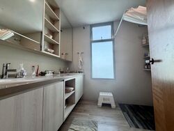 The Serenade @ Holland (D10), Condominium #508106751